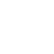 transferlogistica.com.mx
